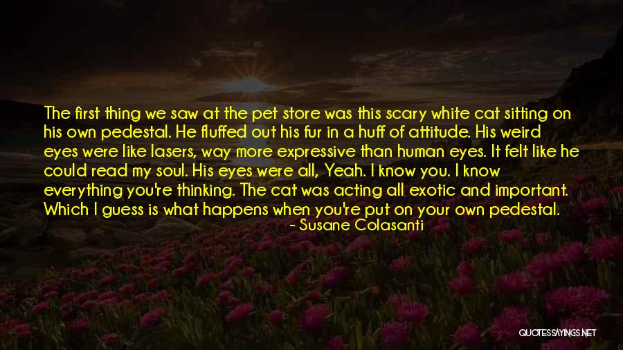 Own Your Attitude Quotes By Susane Colasanti Own Your Attitude Quotes By Susane Colasanti