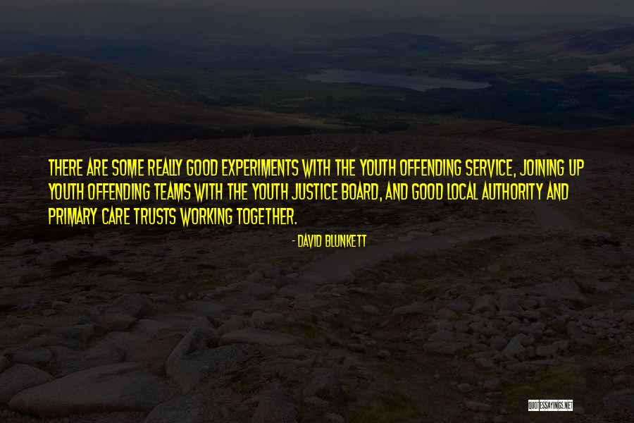 Owned And Boned Quotes By David Blunkett Owned And Boned Quotes By David Blunkett
