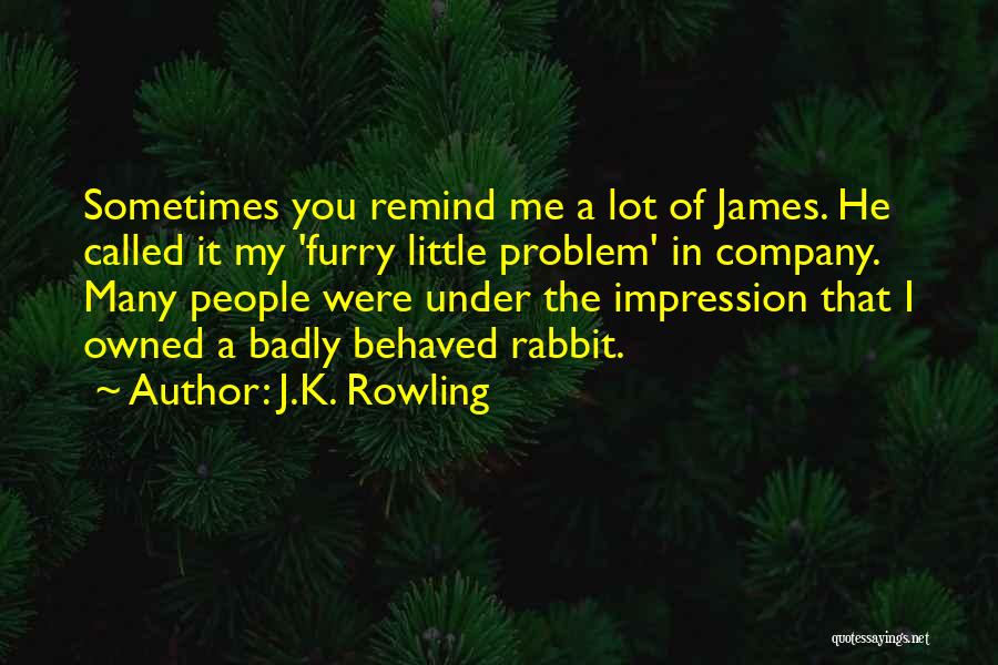 Owned Quotes By J.K. Rowling