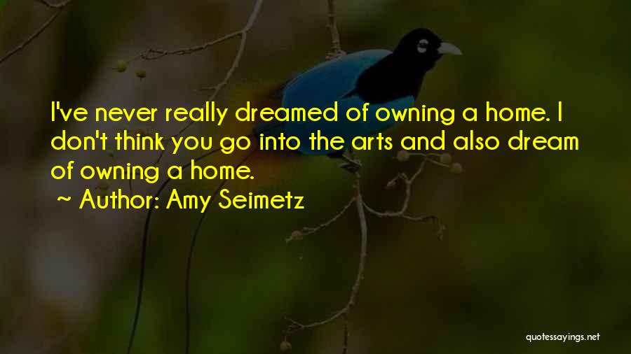 Owning Home Quotes By Amy Seimetz