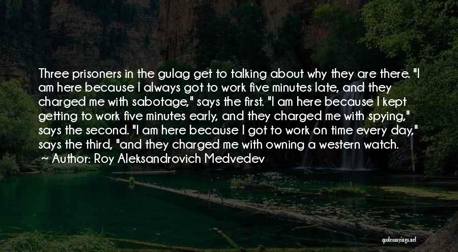 Owning The Day Quotes By Roy Aleksandrovich Medvedev