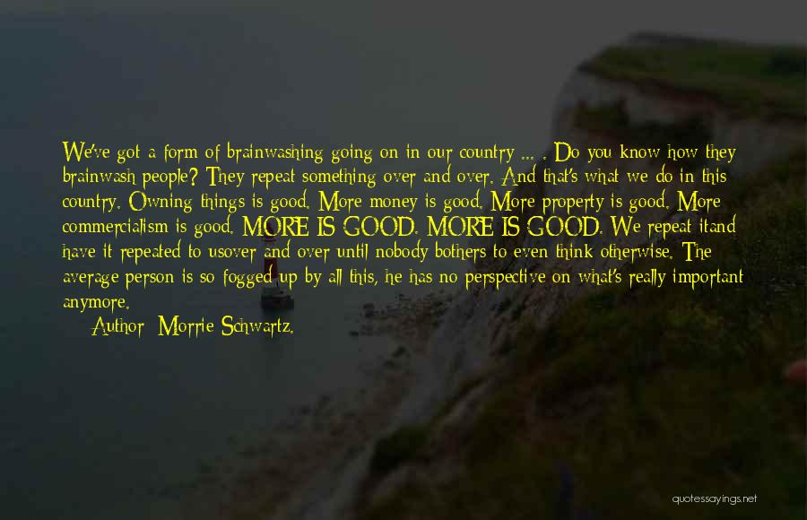 Owning Up Quotes By Morrie Schwartz.