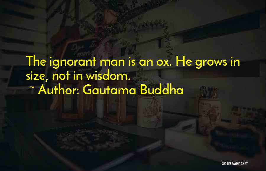 Ox Quotes By Gautama Buddha