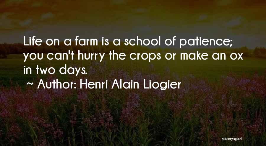 Ox Quotes By Henri Alain Liogier