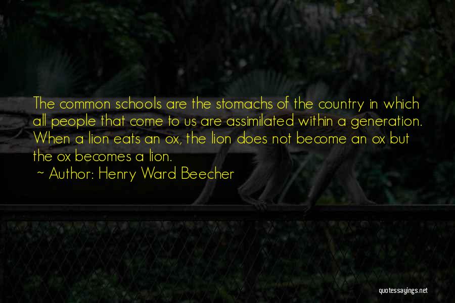 Ox Quotes By Henry Ward Beecher