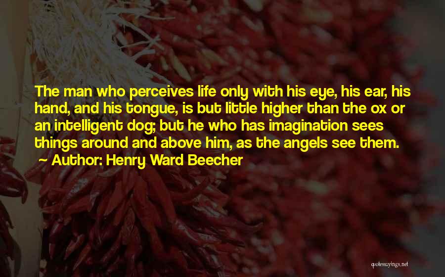 Ox Quotes By Henry Ward Beecher