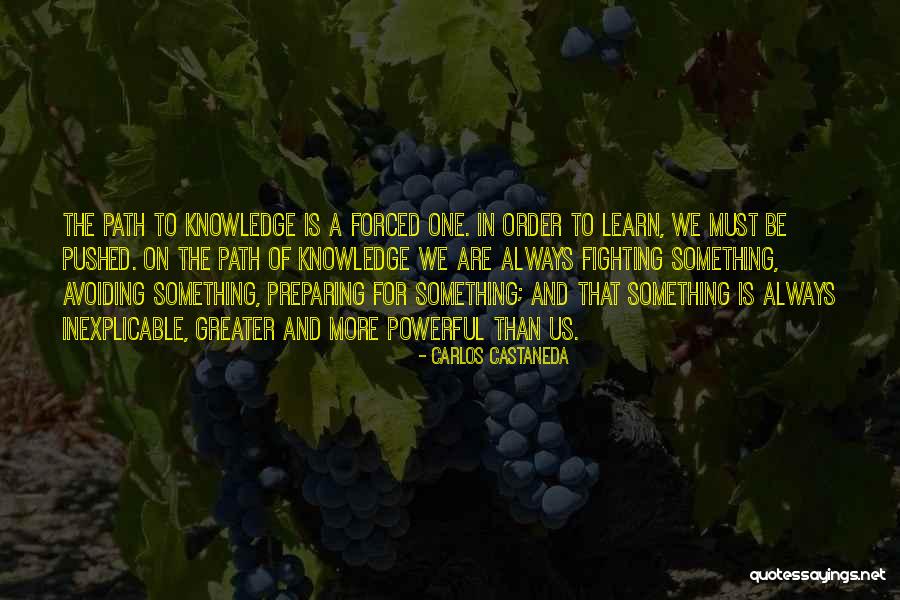 Oxana Salon Quotes By Carlos Castaneda Oxana Salon Quotes By Carlos Castaneda