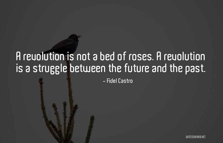 Oxborough Sara Quotes By Fidel Castro Oxborough Sara Quotes By Fidel Castro