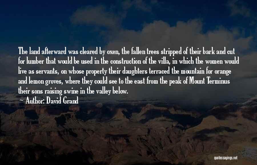 Oxen Quotes By David Grand