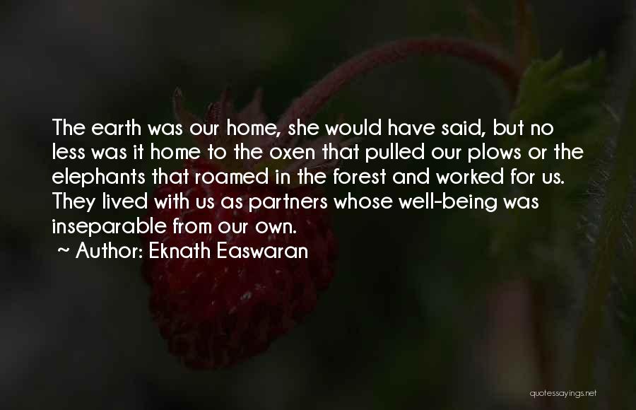 Oxen Quotes By Eknath Easwaran