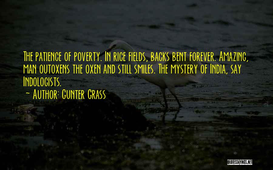 Oxen Quotes By Gunter Grass