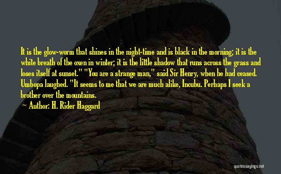 Oxen Quotes By H. Rider Haggard