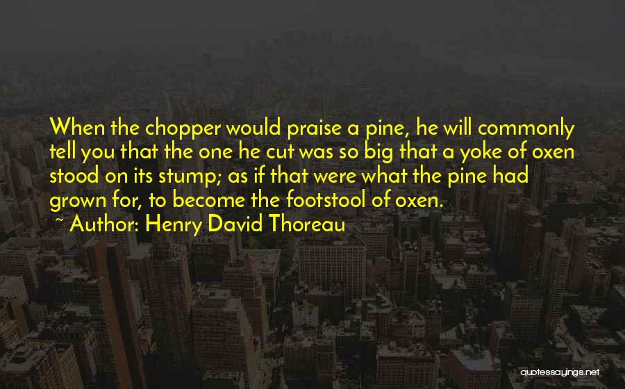 Oxen Quotes By Henry David Thoreau