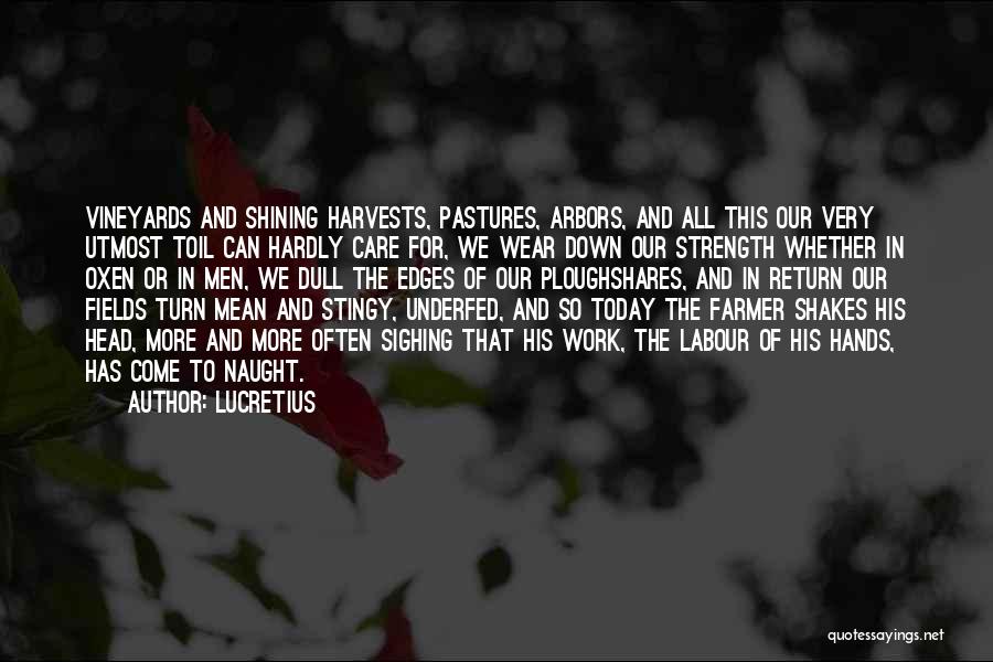 Oxen Quotes By Lucretius