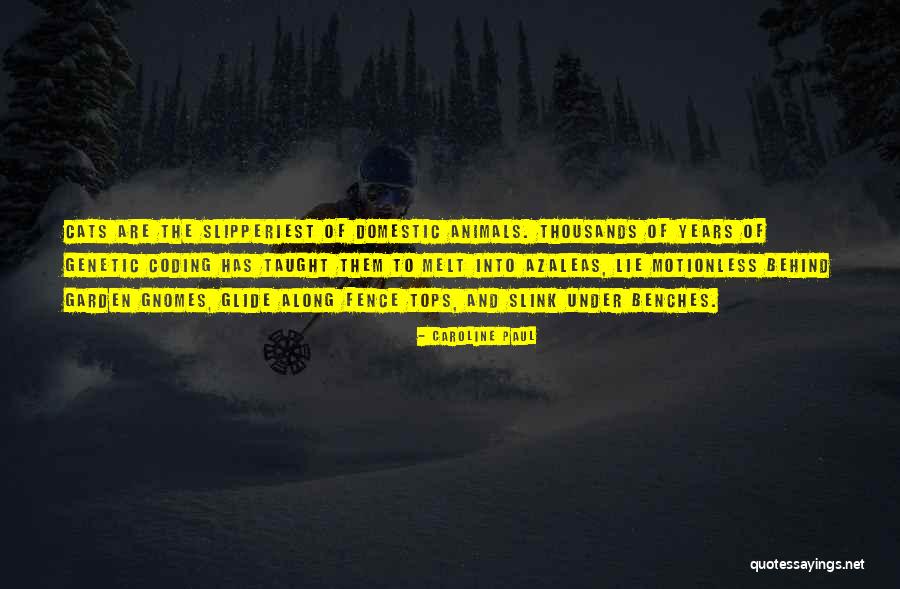 Oxenford Covid Quotes By Caroline Paul Oxenford Covid Quotes By Caroline Paul