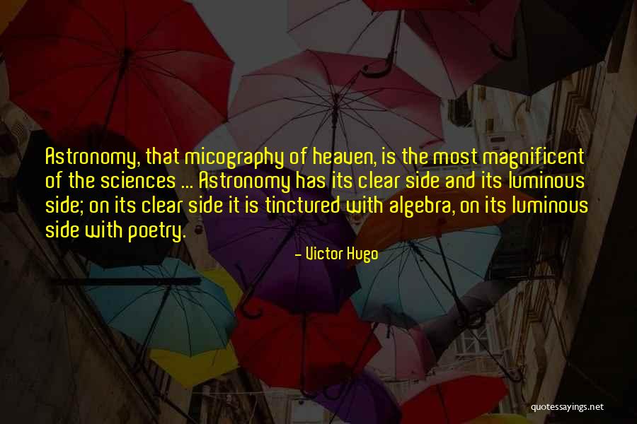 Oxidant And Reductant Quotes By Victor Hugo Oxidant And Reductant Quotes By Victor Hugo