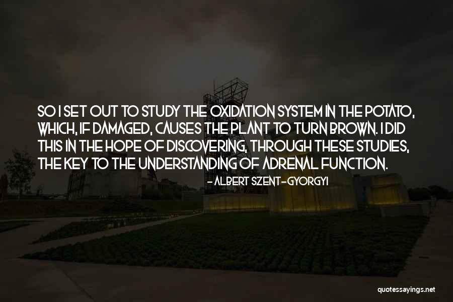 Oxidation Quotes By Albert Szent-Gyorgyi