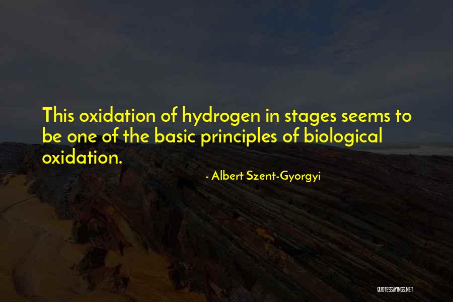 Oxidation Quotes By Albert Szent-Gyorgyi