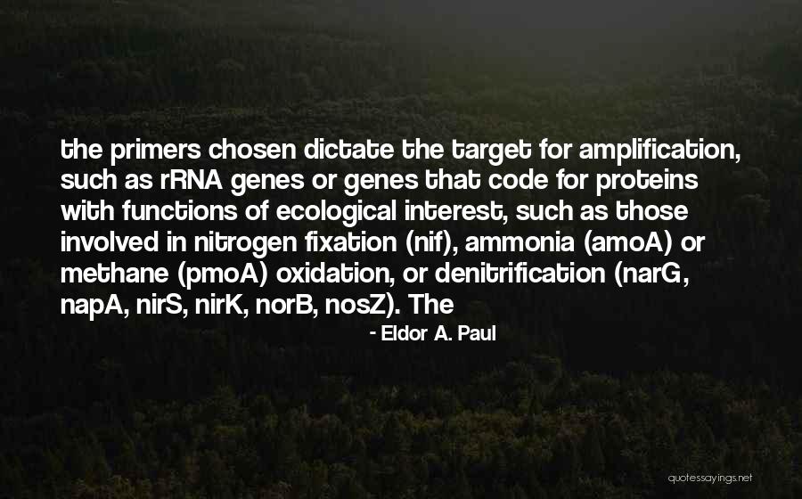 Oxidation Quotes By Eldor A. Paul