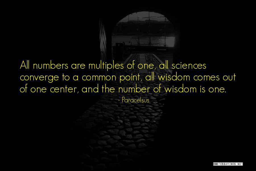 Oxidizers Are Substances Quotes By Paracelsus Oxidizers Are Substances Quotes By Paracelsus