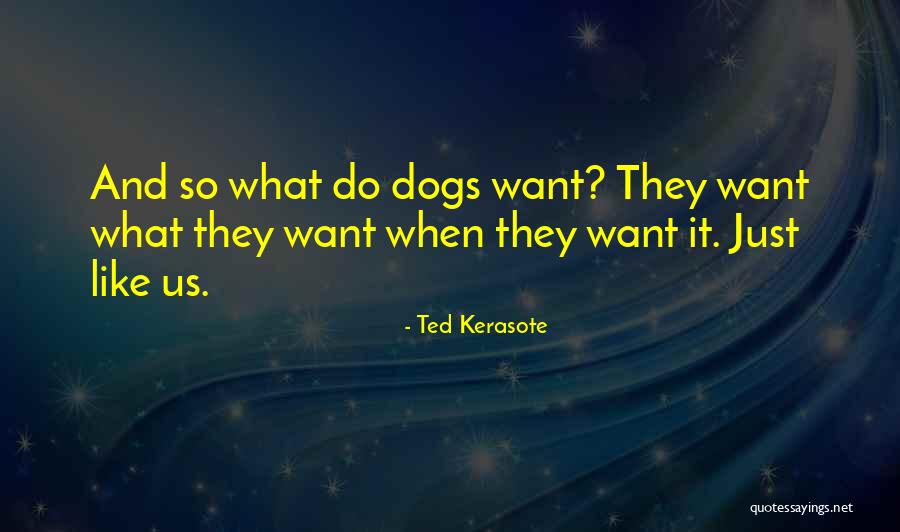 Oxtail Recipe Quotes By Ted Kerasote Oxtail Recipe Quotes By Ted Kerasote