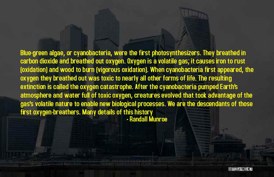 Oxygen Advantage Quotes By Randall Munroe Oxygen Advantage Quotes By Randall Munroe