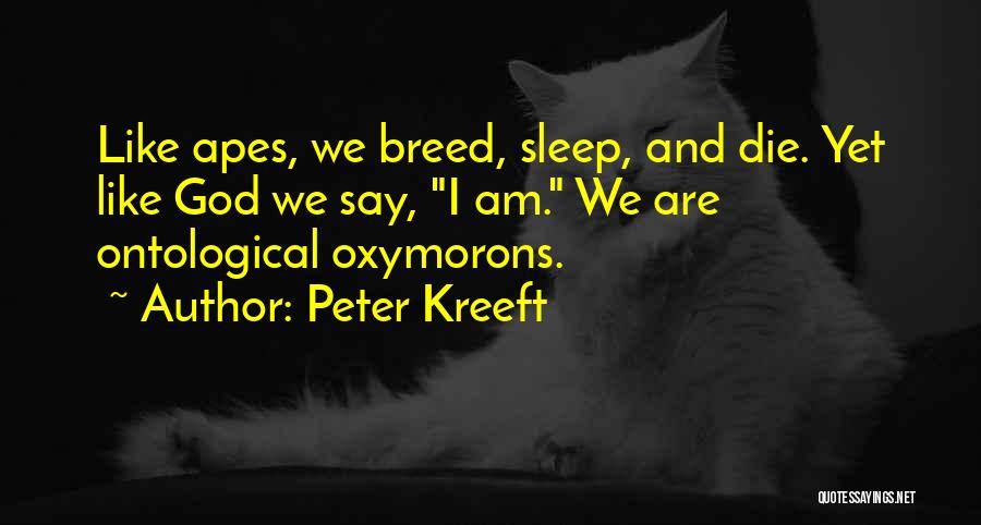 Oxymorons Quotes By Peter Kreeft