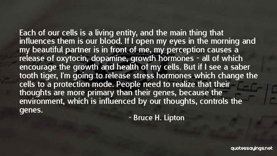 Oxytocin Quotes By Bruce H. Lipton