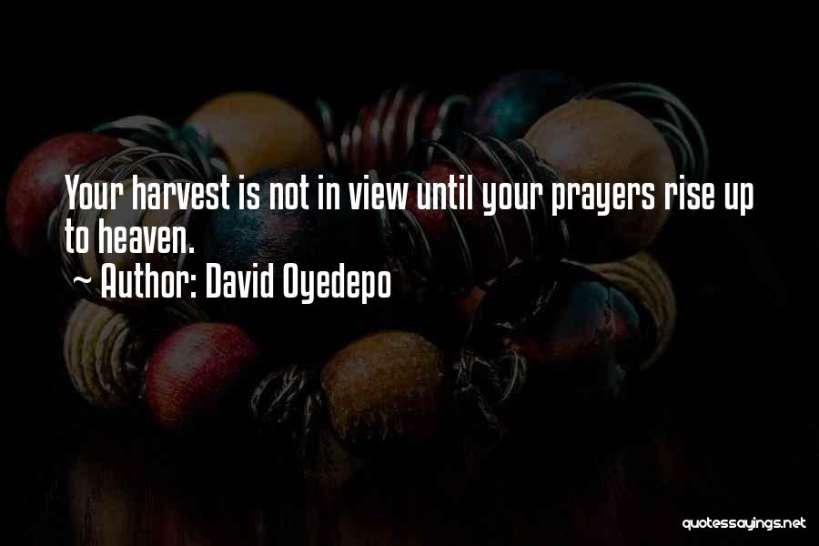 Oyedepo David Quotes By David Oyedepo