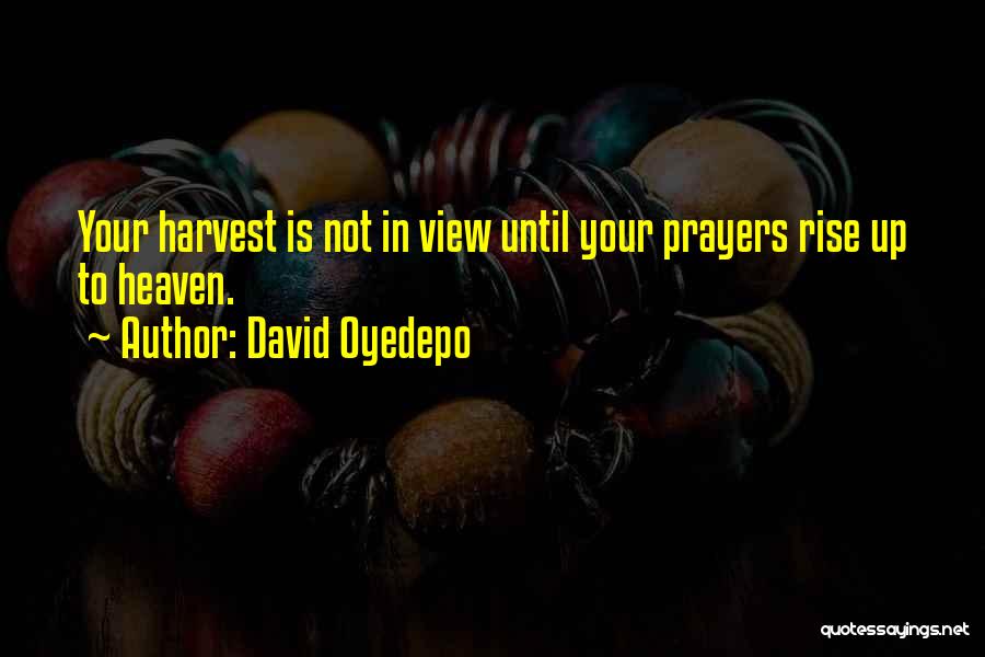 Oyedepo Quotes By David Oyedepo