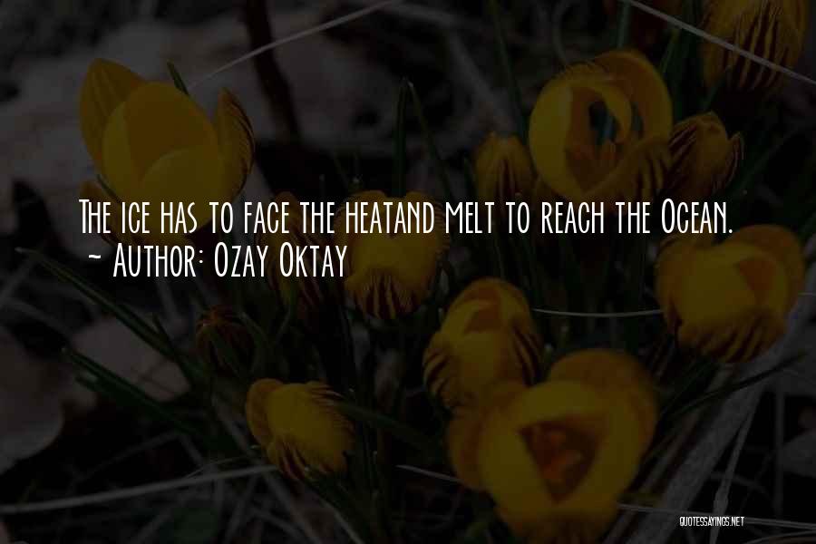 Ozay Oktay Quotes 1777031