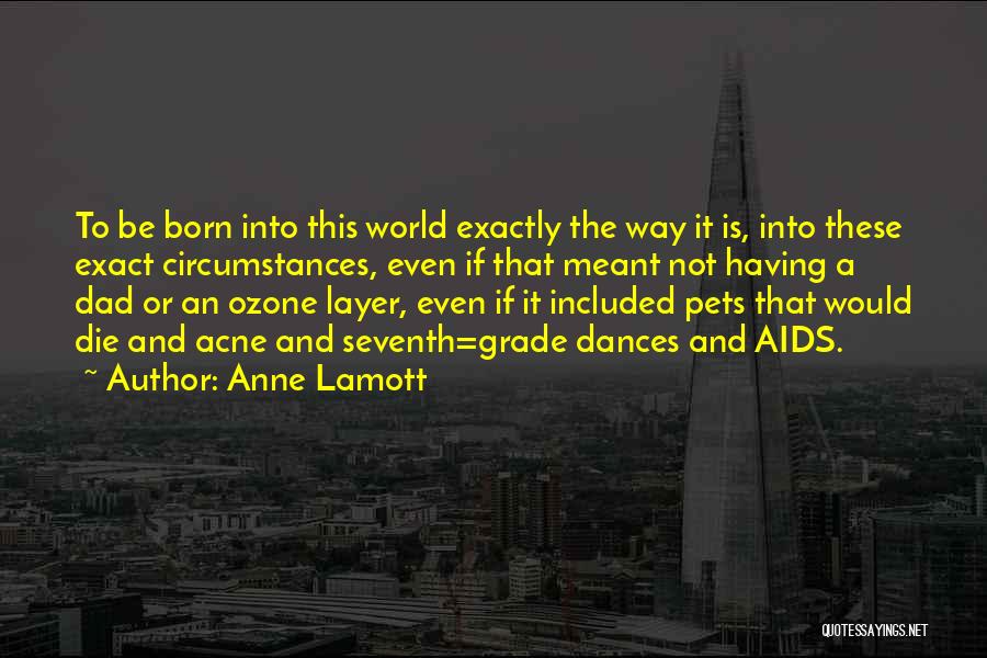 Ozone Layer Quotes By Anne Lamott