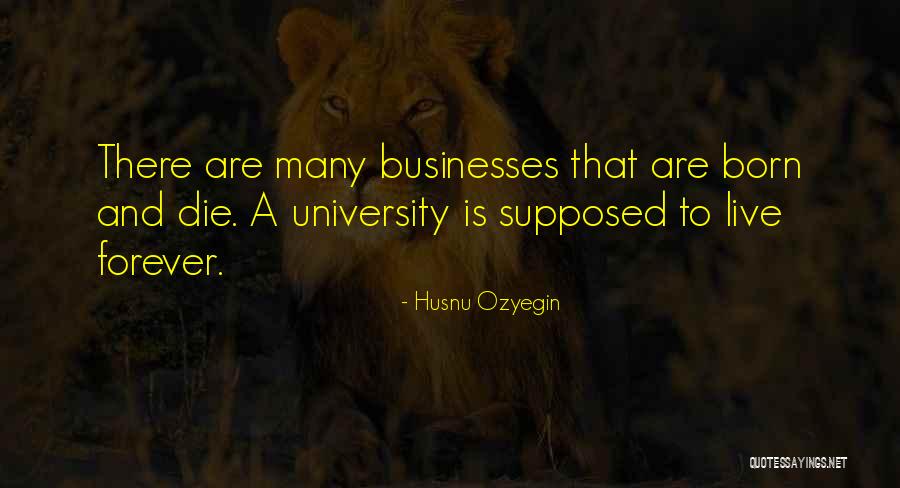 Ozyegin University Quotes By Husnu Ozyegin Ozyegin University Quotes By Husnu Ozyegin