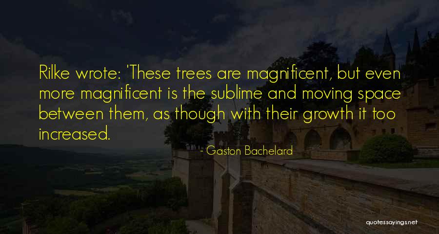 P 201 Quotes By Gaston Bachelard P 201 Quotes By Gaston Bachelard
