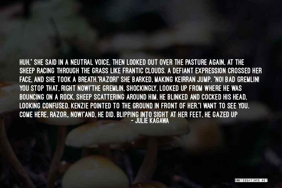 P 201 Quotes By Julie Kagawa P 201 Quotes By Julie Kagawa