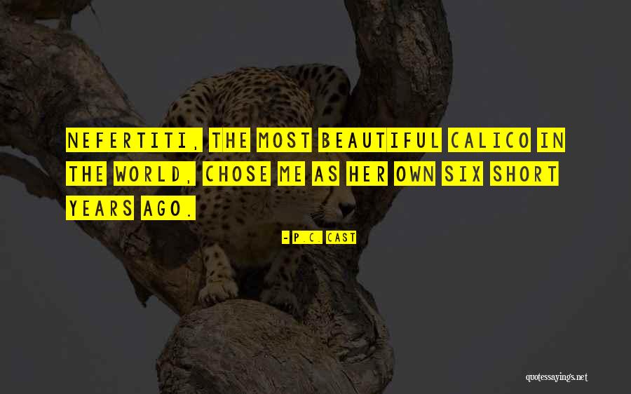 P.C. Cast Quotes 2245995 P.C. Cast Quotes 2245995
