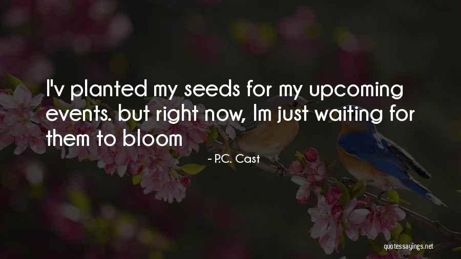 P.C. Cast Quotes 614568 P.C. Cast Quotes 614568