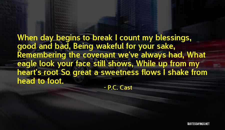 P.C. Cast Quotes 690825 P.C. Cast Quotes 690825