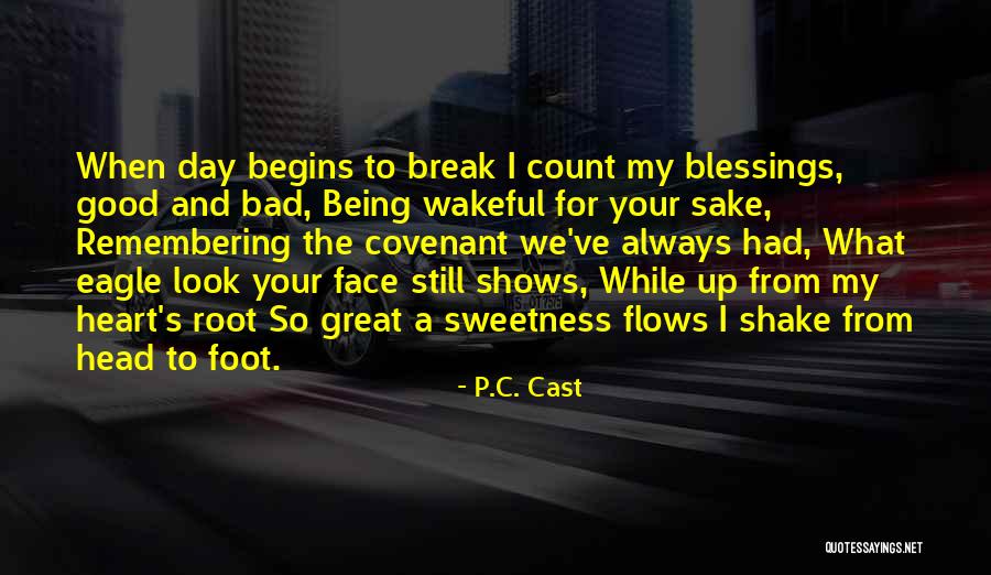 P.C. Cast Quotes 690825