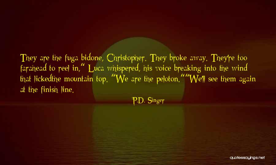 P.D. Singer Quotes 989480