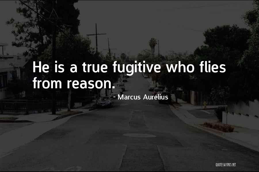 P J L Marcus Quotes By Marcus Aurelius P J L Marcus Quotes By Marcus Aurelius