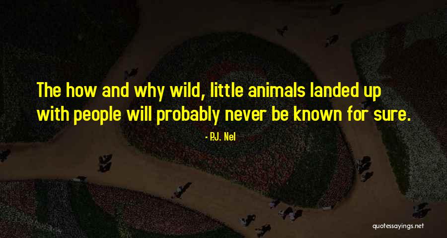 P.J. Nel Quotes 1092989 P.J. Nel Quotes 1092989