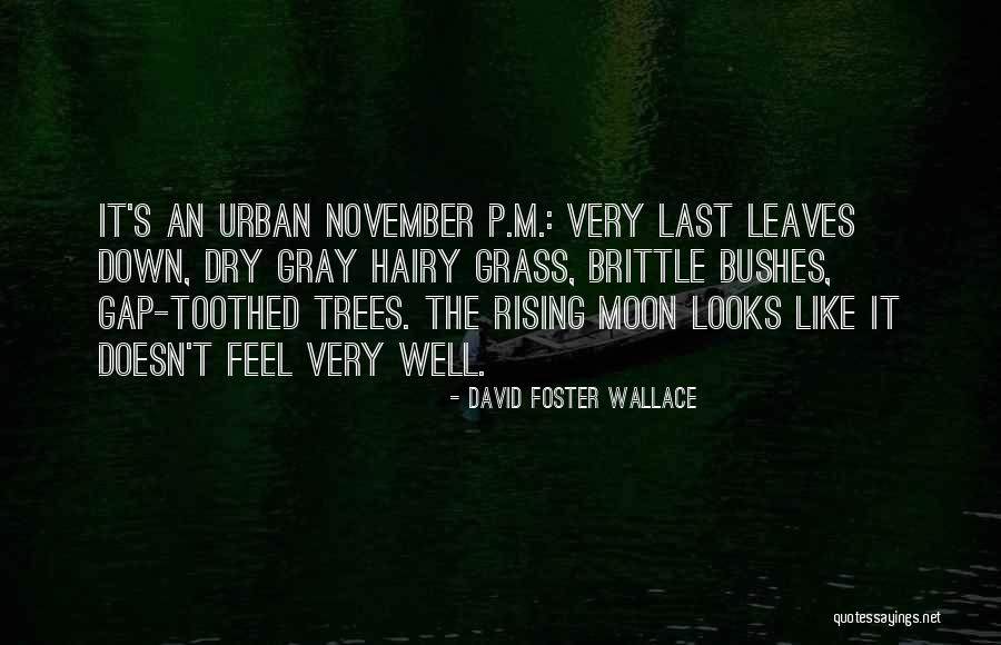 P.m Quotes By David Foster Wallace