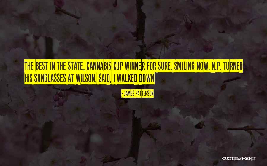 P N P Quotes By James Patterson P N P Quotes By James Patterson