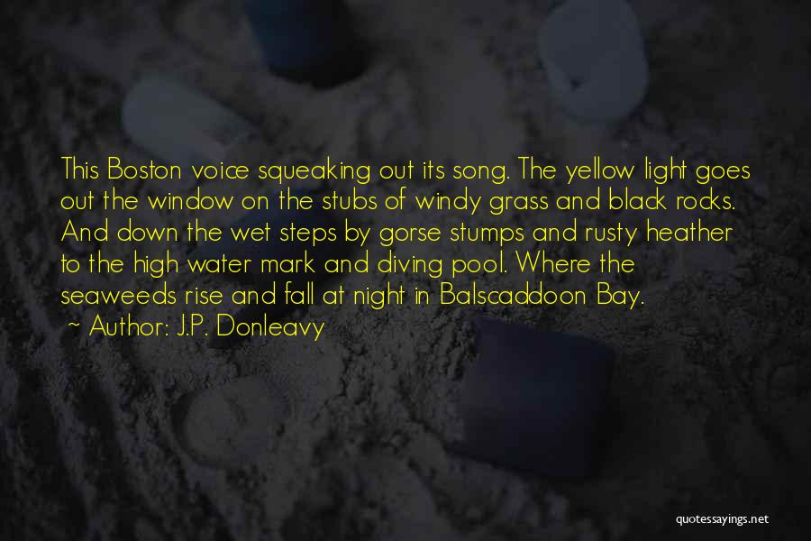 P.o.d Song Quotes By J.P. Donleavy