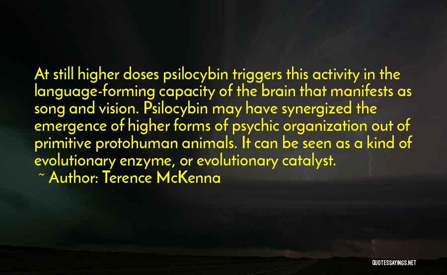 P.o.d Song Quotes By Terence McKenna