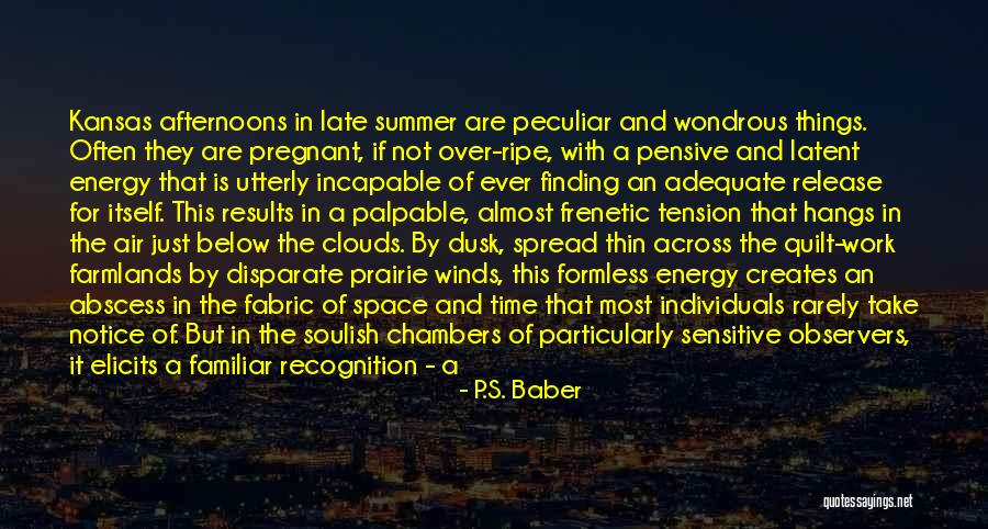 P.S. Baber Quotes 1056204 P.S. Baber Quotes 1056204