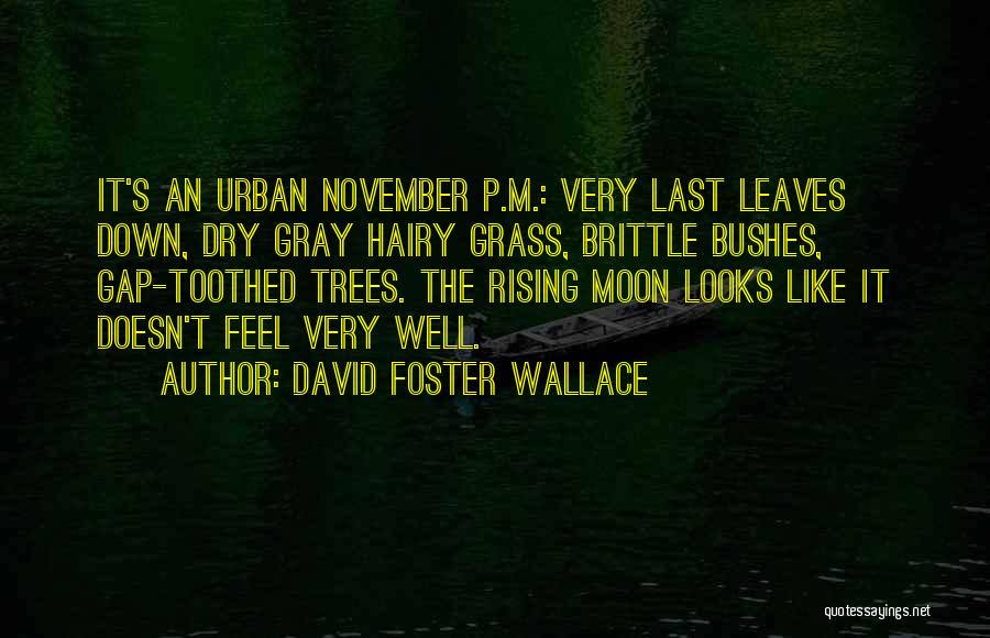 P T Quotes By David Foster Wallace