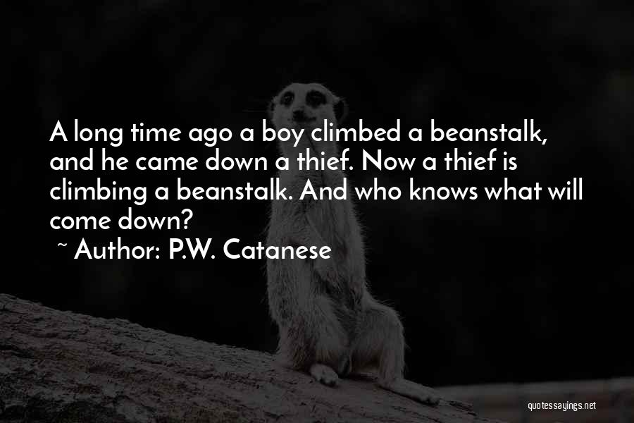 P.W. Catanese Quotes 460179