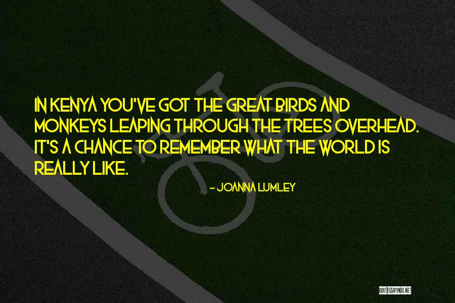 P1102 Quotes By Joanna Lumley P1102 Quotes By Joanna Lumley